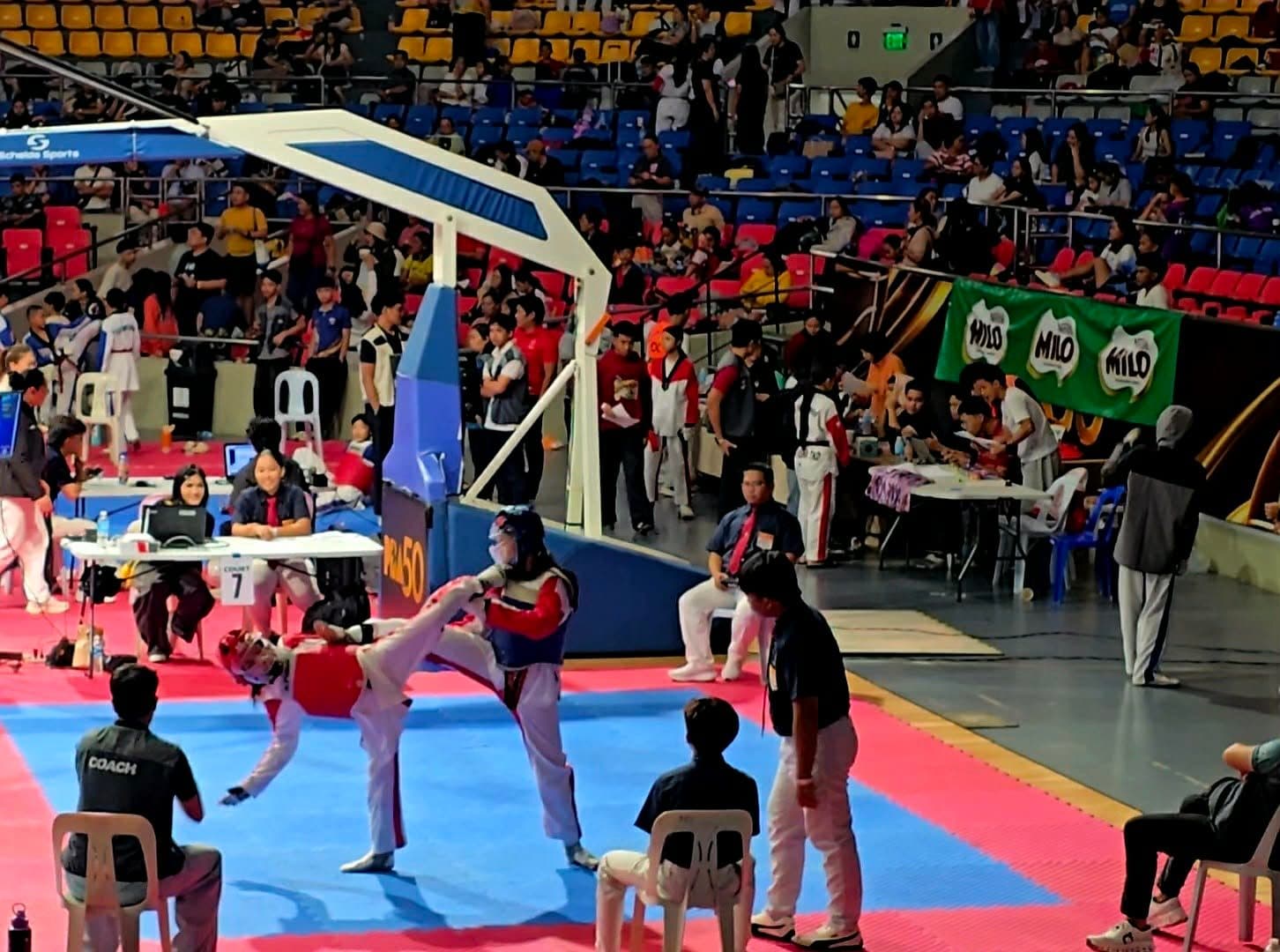 A WVT athlete sparring on a tournament court.